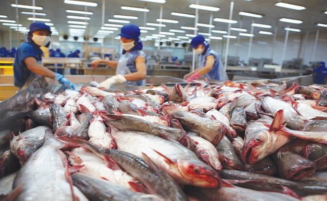 Vietnamese seafood is interested in the US market - Photo 1.