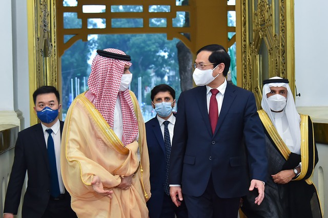 Quan hệ hợp tác Việt Nam - Saudi Arabia phát triển tích cực trên nhiều lĩnh vực - Ảnh 1.