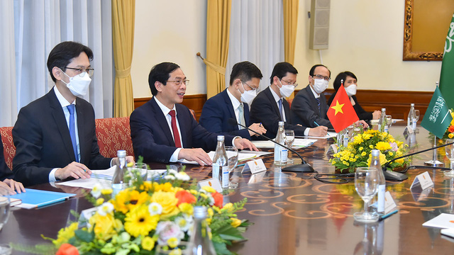 Quan hệ hợp tác Việt Nam - Saudi Arabia phát triển tích cực trên nhiều lĩnh vực - Ảnh 2.