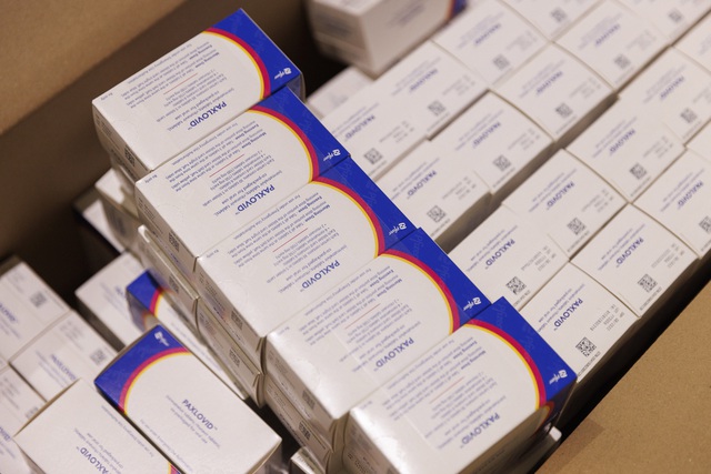 Pfizer sells 4 million courses of Paxlovid oral drug to UNICEF - Photo 1.