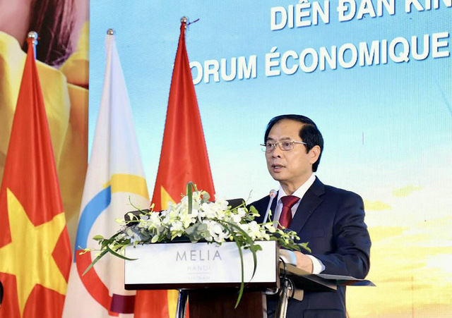 Diễn đàn kinh tế cấp cao Việt Nam - Pháp ngữ góp phần phục hồi kinh tế toàn cầu - Ảnh 1.