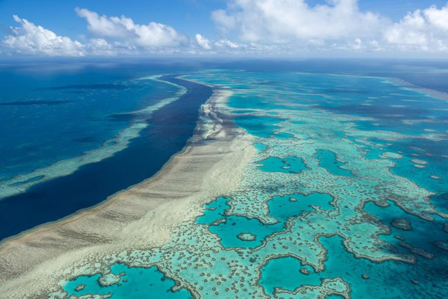 The Great Barrier Reef continues to suffer severe mass bleaching - Photo 1.