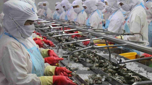 Shrimp exports are forecast to grow by 40% in March 2022 - Photo 2.
