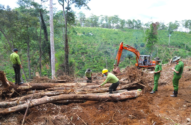 Gần 1,9 ha rừng bị tàn phá: Đình chỉ công tác Chủ tịch xã Lộc Phú - Ảnh 1.