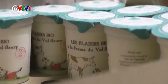 Meals from organic food for schools in Lyon, France - Photo 1.