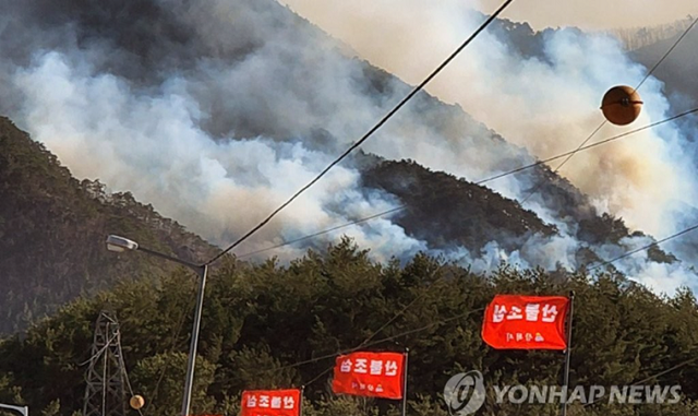 Hàn Quốc: Cháy rừng đe dọa nhà máy điện hạt nhân, hàng nghìn người phải sơ tán - Ảnh 1.