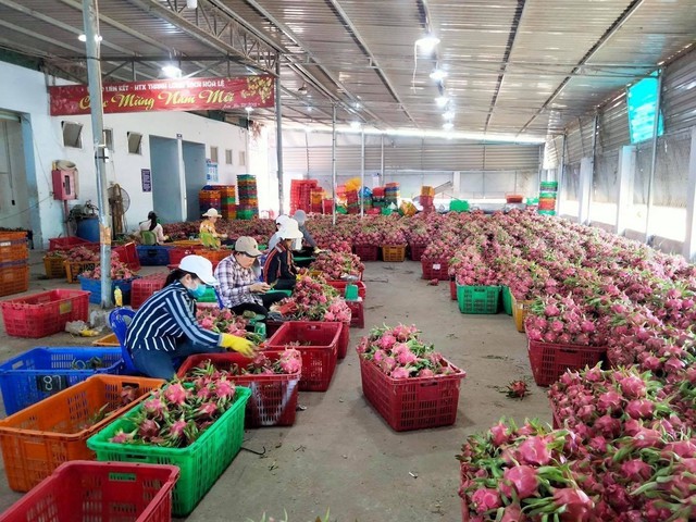 Gỡ nút thắt xuất khẩu nông sản sang Trung Quốc - Ảnh 1.