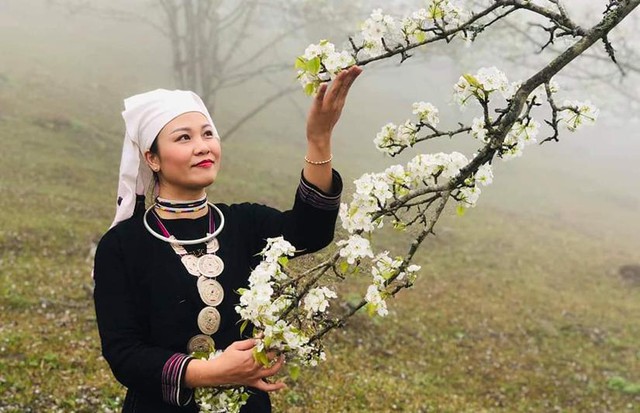 Mùa hoa lê ở Na Hang (Tuyên Quang) - Ảnh 6.