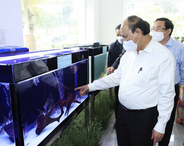 Chủ tịch nước thăm Khu Nông nghiệp công nghệ cao TP Hồ Chí Minh - Ảnh 1.