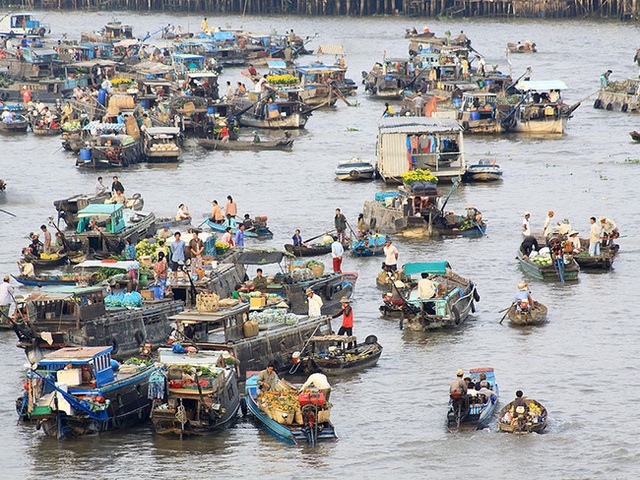 Resolution 13 is expected to open a new development page for the Mekong Delta - Photo 2.