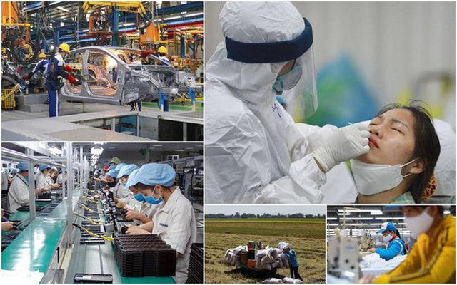 Kinh tế Việt Nam đang phục hồi mạnh mẽ - Ảnh 1.