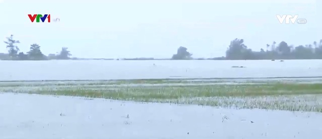 Hàng chục nghìn ha diện tích nông nghiệp ở miền Trung ngập úng do mưa lũ - Ảnh 1.