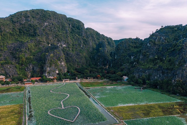 Nghỉ lễ 10/3, về Hang Múa, Tam Cốc ngắm lúa xanh đẹp nhất năm ở Ninh Bình - Ảnh 3.