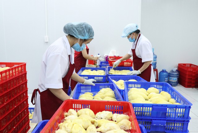 Xuất khẩu trái cây Việt gia tăng tại nhiều thị trường - Ảnh 1.