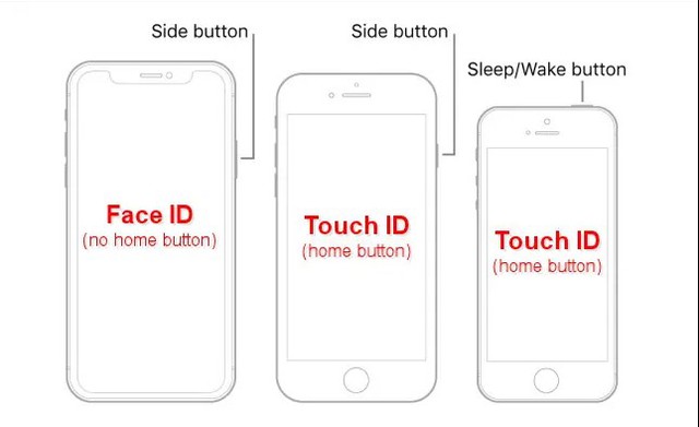 Những iPhone nào có Touch ID? - Ảnh 1.
