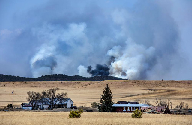 Cháy rừng kỷ lục tại Mỹ: Hàng nghìn người ở bang New Mexico sẵn sàng sơ tán - Ảnh 4.