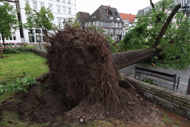 Tornadoes hit a city in Germany, injuring 40 people, at least 1 person was killed - Photo 2.