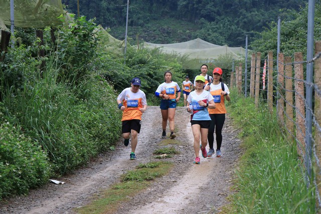 Gần 1.500 vận động viên tham gia Giải Marathon đường mòn Việt Nam 2022 - Ảnh 1.