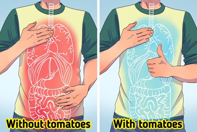 Những tác dụng đáng kinh ngạc của quả cà chua - Ảnh 3.