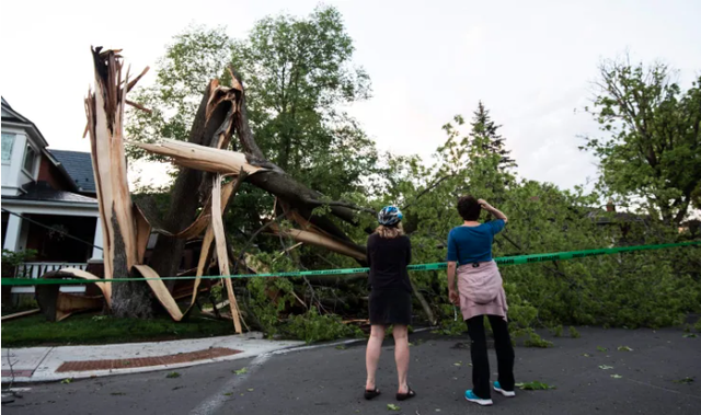 Severe thunderstorms in Canada caused 5 deaths, hundreds of thousands of people lost power - Photo 2.