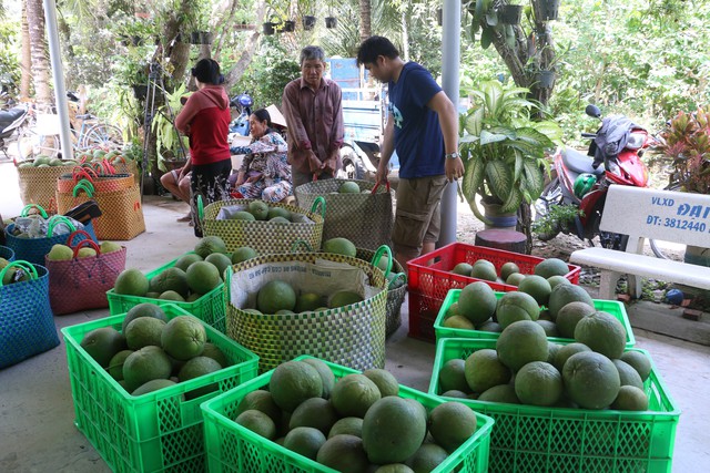 Vietnamese agricultural products are widely exported - Photo 2.