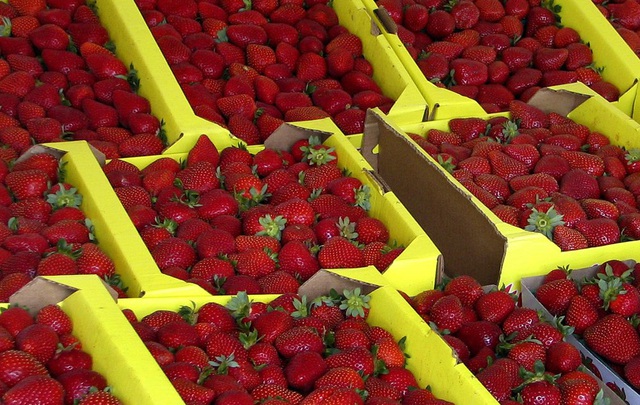Strawberries may be linked to hepatitis A outbreaks in the US and Canada - Photo 1.