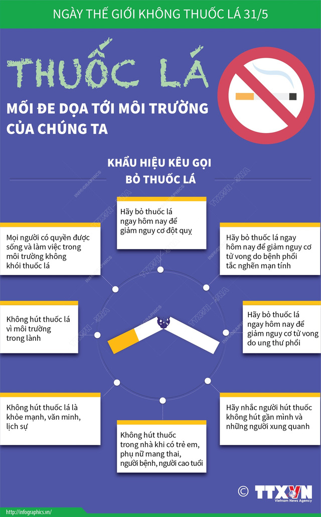 [Infographic]  World No Tobacco Day: The harmful effects of tobacco on the environment - Photo 1.