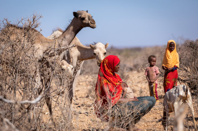 The worst drought in decades devastated Ethiopia - Photo 1.