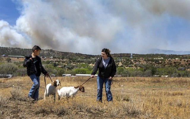 Tổng thống Mỹ Biden phê chuẩn tuyên bố thảm họa do cháy rừng ở bang New Mexico - Ảnh 6.