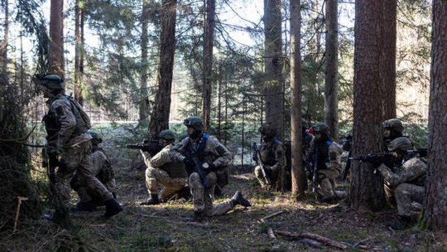 Many NATO countries conduct military exercises - Photo 1.