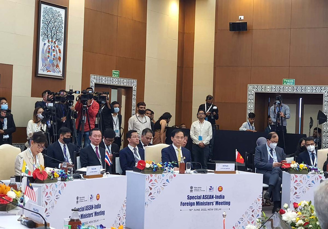 Hội nghị đặc biệt các Bộ trưởng Ngoại giao ASEAN - Ấn Độ đạt nhiều kết quả quan trọng - Ảnh 1.