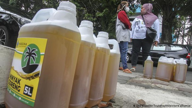 Indonesia đã cấp phép xuất khẩu khoảng 302.000 tấn dầu cọ - Ảnh 1.