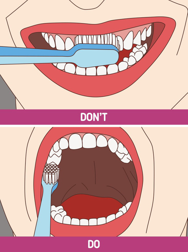 8 mẹo chăm sóc răng miệng đơn giản mà hiệu quả đến bất ngờ - Ảnh 2.