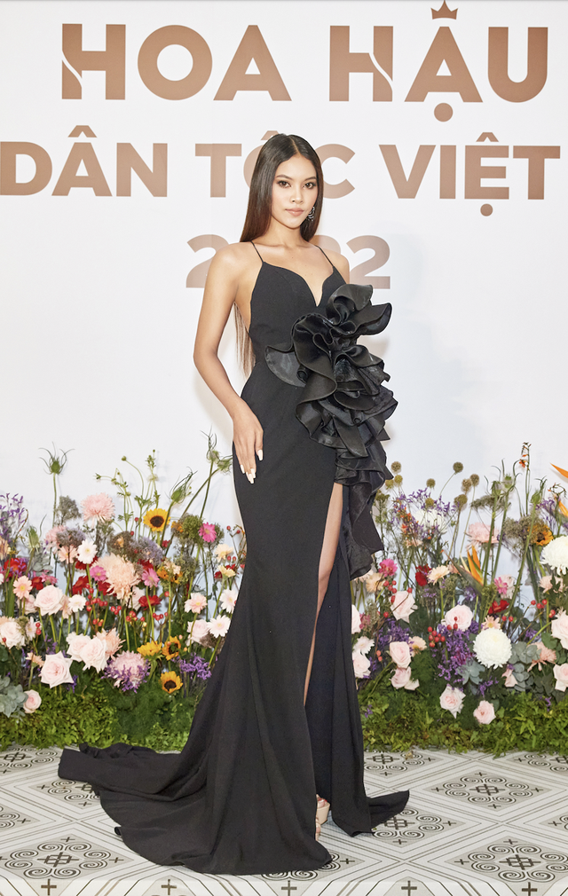 Những thí sinh gây chú ý tại Hoa hậu các Dân tộc Việt Nam - Ảnh 3.