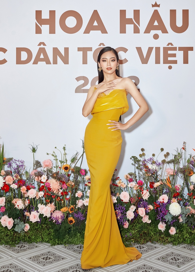 Những thí sinh gây chú ý tại Hoa hậu các Dân tộc Việt Nam - Ảnh 5.