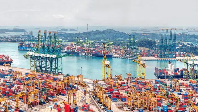 Những nền kinh tế Châu Á phất lên nhờ cảng trung chuyển quốc tế - Ảnh 1.