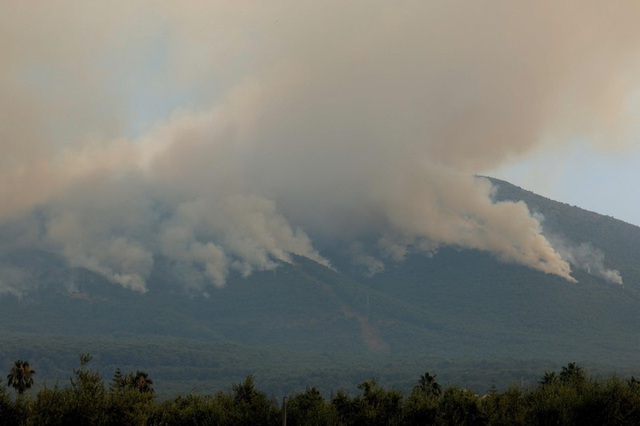 Nắng nóng kỷ lục gây cháy rừng ở nhiều nước châu Âu - Ảnh 1.