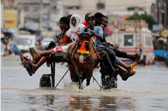 Thủ đô Senegal ngập trong nước lũ sau trận mưa lớn - Ảnh 1.