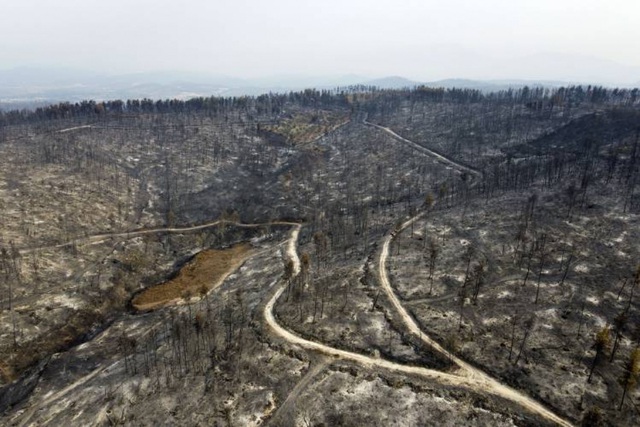 Lính cứu hỏa châu Âu hỗ trợ Hy Lạp chống cháy rừng - Ảnh 1.