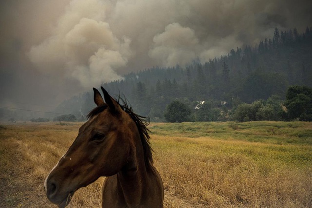 Cháy rừng bùng phát nhanh ở Bắc California, hàng nghìn cư dân phải sơ tán - Ảnh 2.