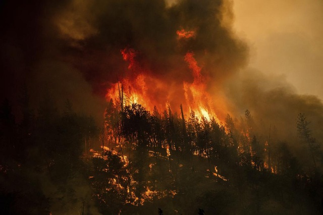 Cháy rừng bùng phát nhanh ở Bắc California, hàng nghìn cư dân phải sơ tán - Ảnh 7.