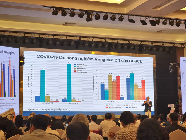 Báo cáo Kinh tế ĐSBCL 2022: Điểm sáng lớn nhất là nông nghiệp - Ảnh 2.