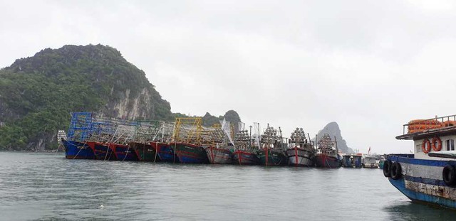 Huyện Vân Đồn (Quảng Ninh): Kiên quyết đưa người ở lại các lồng bè thủy sản lên bờ - Ảnh 1.