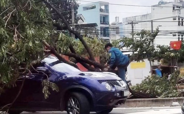 TP Hồ Chí Minh: Hàng loạt cây ngã đổ đè 3 ô tô sau cơn dông lớn - Ảnh 2.