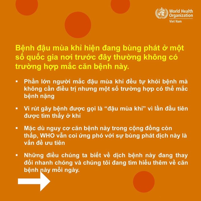 Tổ chức Y tế thế giới cập nhật thông tin về bệnh đậu mùa khỉ - Ảnh 3.