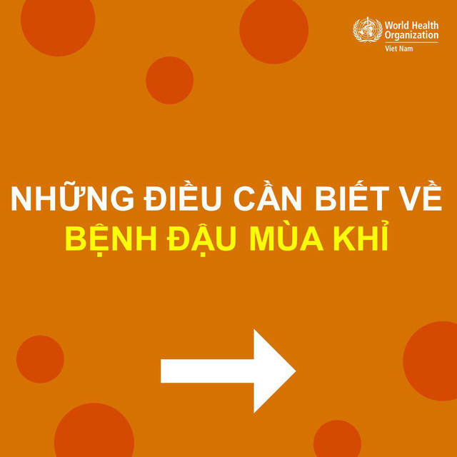 Tổ chức Y tế thế giới cập nhật thông tin về bệnh đậu mùa khỉ - Ảnh 2.