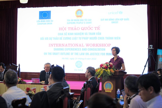 Việt Nam hướng tới xây dựng đạo luật toàn diện về tư pháp người chưa thành niên - Ảnh 2.