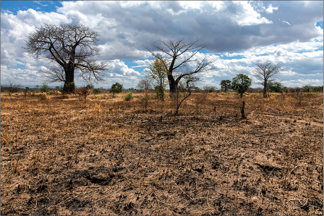Các quốc gia châu Phi đề nghị về tài trợ cho ứng phó biến đổi khí hậu trước COP27 - Ảnh 1.
