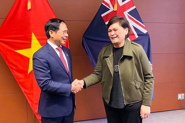 Lần đầu tiên triển khai cơ chế Hội nghị Bộ trưởng Ngoại giao Việt Nam - New Zealand - Ảnh 1.
