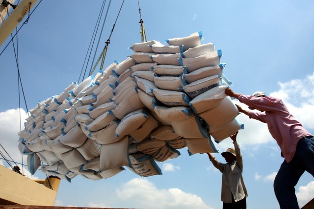 Ấn Độ hạn chế xuất khẩu, cơ hội cho gạo Việt - Ảnh 1.